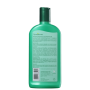 Farmaervas Shampoo Jaborandi e Pró-Vitamina B5 320ml