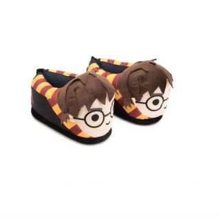 Pantufa 3D Harry Potter 37/39 Ricsen