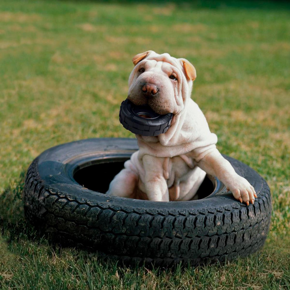Brinquedo para Cachorro Kong Pneu Rechável Tires Extreme