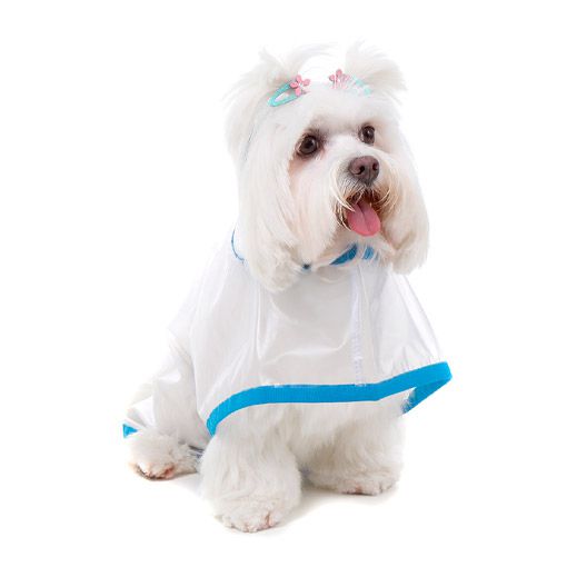 Capa de Chuva para Cachorro Bichinho Chic Azul
