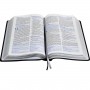 Bíblia de Estudo NTLH Azul Escovado