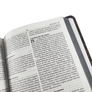 Bíblia NAA Leão Cinza - Capa Dura