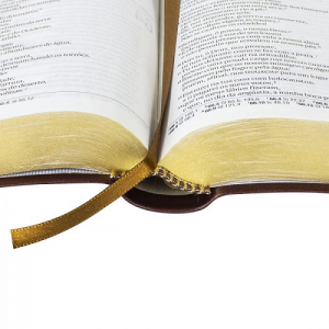Bíblia NAA Letra Gigante - Marrom