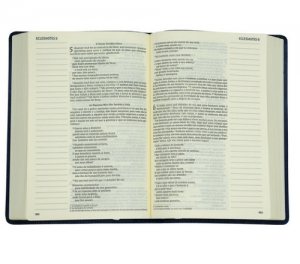 Bíblia NVI - Sua Bíblia Leitura Perfeita - Letra Grande Azul