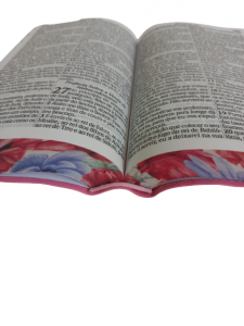 Bíblia Sagrada - Harpa Avivada e Corinhos - Letra HiperGigante - Borda Colorida - Preta