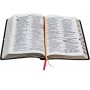 Bíblia Sagrada Letra Gigante Ra Com Índice - Capa Preta