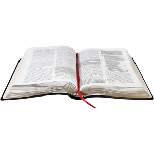 Bíblia Sagrada NTLH Celebrando a Recuperação