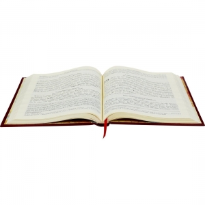 Livro O Novo Testamento Grego- 5ª Edição