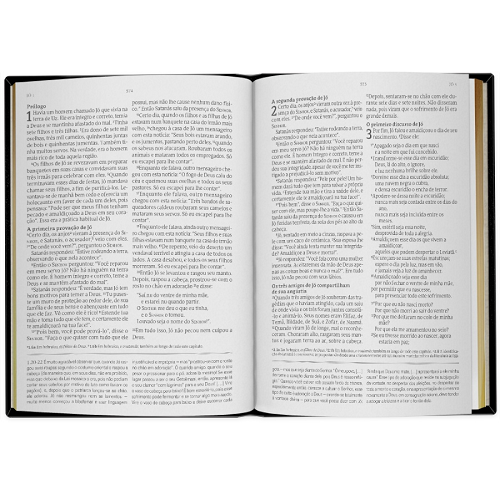 Bíblia de Estudos e Sermões de Charles Haddon Spurgeon - NVT