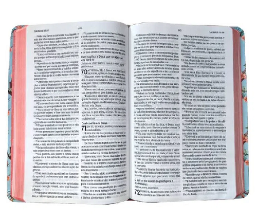 Bíblia Leitura Perfeita ACF - Capa Floral