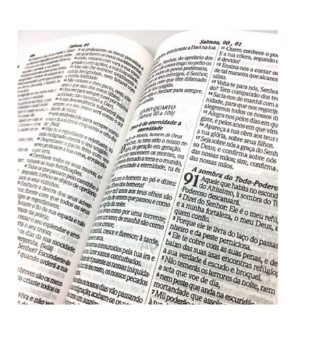 Bíblia Revisada e Atualizada - Semi Luxo - Guirlanda Floral