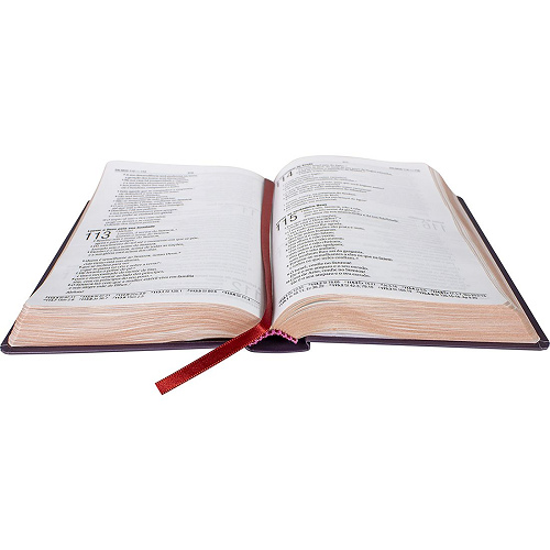 Bíblia Sagrada - Capa Dura Ilustrada Rosas - NAA