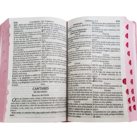 Bíblia Sagrada Letra HiperGigante - Capa Borboleta Rosa