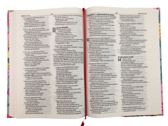 Bíblia Sagrada NAA - Coleção Ester - Tropical