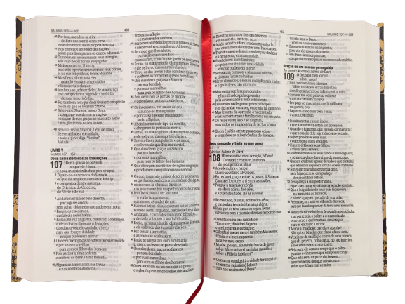 Bíblia Sagrada NAA - Coleção Portugalia - Creme
