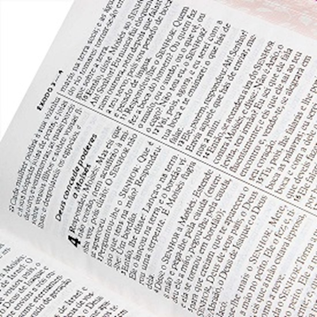 Bíblia Sagrada RA - Letra Gigante - Pink Floral