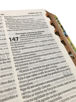 Bíblia Sagrada Slim - Capa Girassol