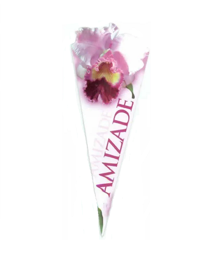 Cartão Amizade - Linha Flor Orquídea