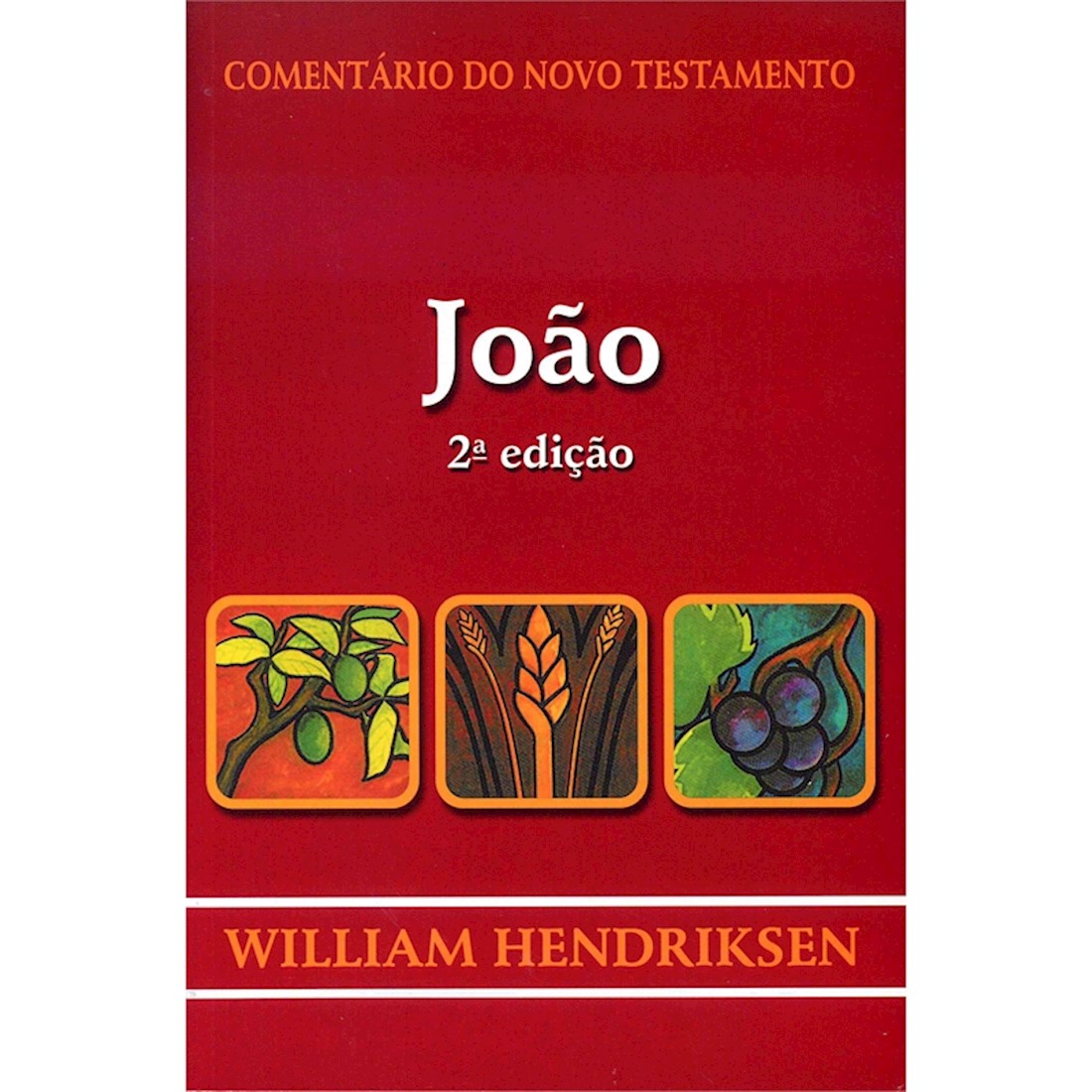 Livro Comentário do Novo Testamento de João - 2ª edição