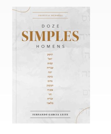 Livro Doze Simples Homens
