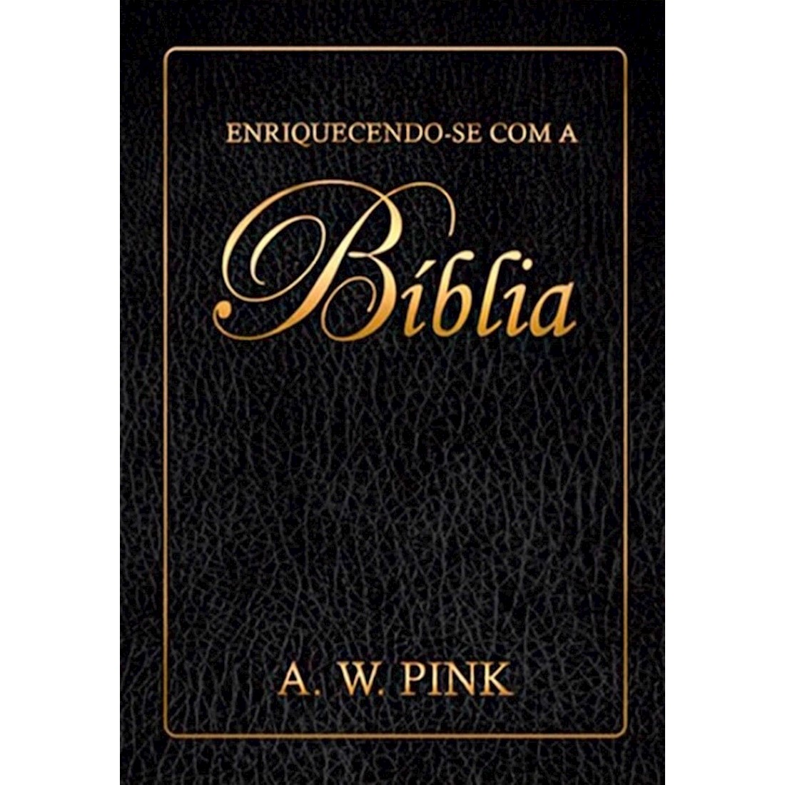 Livro Enriquecendo-se Com a Bíblia