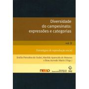 Diversidade do campesinato: expressões e categorias - Volume 2