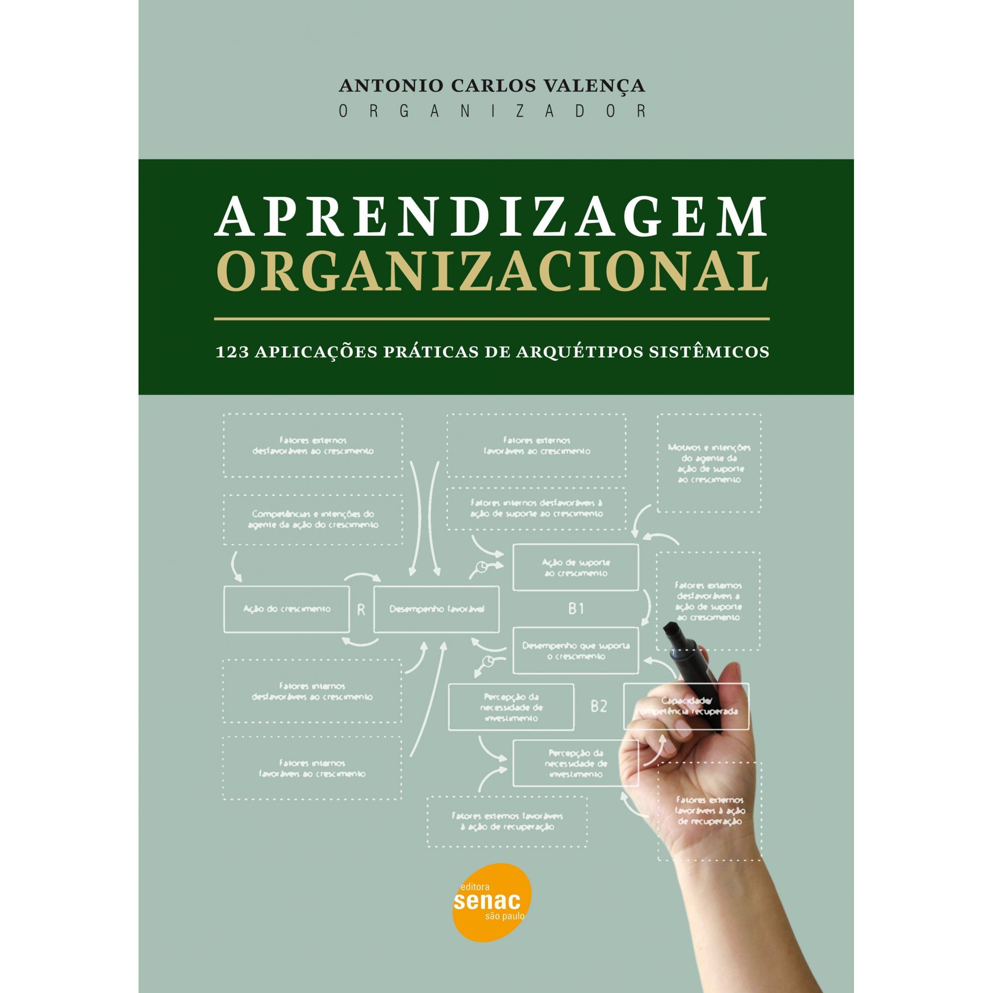 Aprendizagem organizacional: 123 aplicações práticas de arquétipos sistêmicos