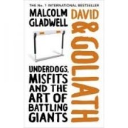 DAVID AND GOLIATH: UNDERDOGS, MISFITS AND THE ART OF BATTLING GIANTS