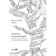 Labirintos da aprendizagem: pacto fáustico, romance de formação e outros temas de literatura comparada