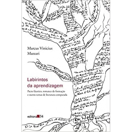 Labirintos da aprendizagem: Pacto Fáustico, Romance de Formação e outros temas de Literatura Comparada