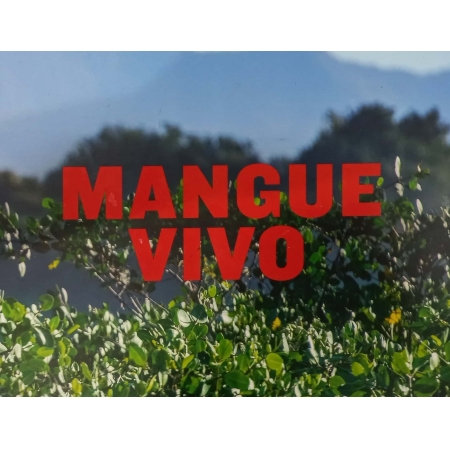 Mangue Vivo: O renascer do manguezal na área mais poluída da Baía de Guanabara