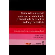 FORMAS DE RESISTENCIA CAMPONESA: VISIBILIDADE E DIVERSIDADE DE CONFLITOS AO LONGO DA HISTORIA (2 VOLUMES)