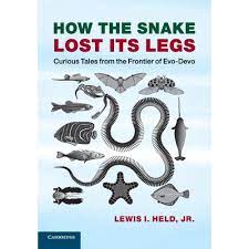 How the snake lost its legs