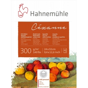 Cezanne Hahnemuhle 300g Fina 24x32 10fls