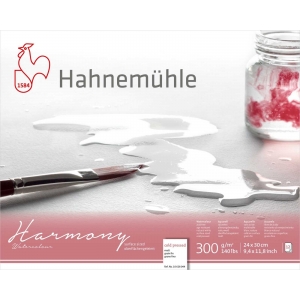 Harmony Hahnemuhle 300g Fina 24x30 12fls