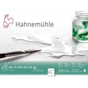 Harmony Hahnemuhle 300g Satinado 30x40 12fls