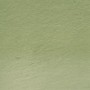 Lápis Carvão Vegetal Colorido Green Moss (TC15) un