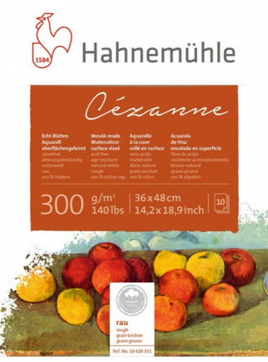 Cezanne Hahnemuhle 300g Rugosa 24x32 10fls