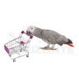 Carrinho de Supermercado para aves - Brinquedo