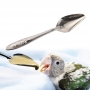 Colher para Alimentação de Pássaros