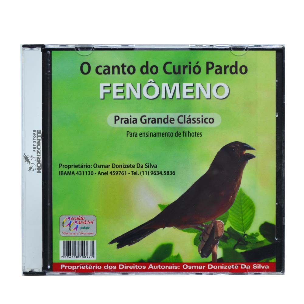 CD - O Canto do Curió Pardo - Fenômeno