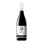 Vinho Tinto Chileno Miguel Torres Gran Reserva Santa Digna Pinot Noir 750ml 2017