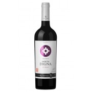 Vinho Tinto Chileno Miguel Torres Gran Reserva Santa Digna Syrah 750ml
