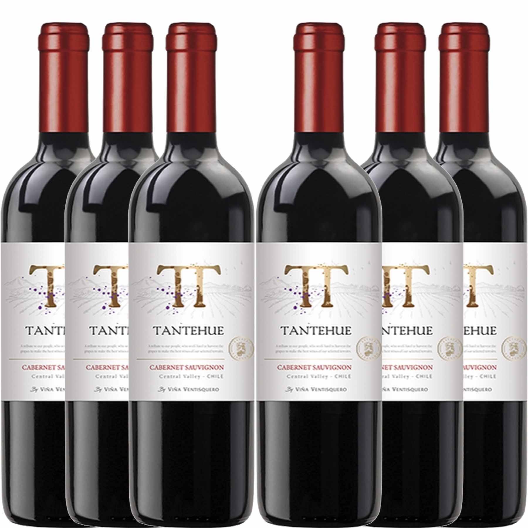 Caixa com 6 Vinho Ventisquero Tantehue Cabernet Sauvignon 2019 750ml