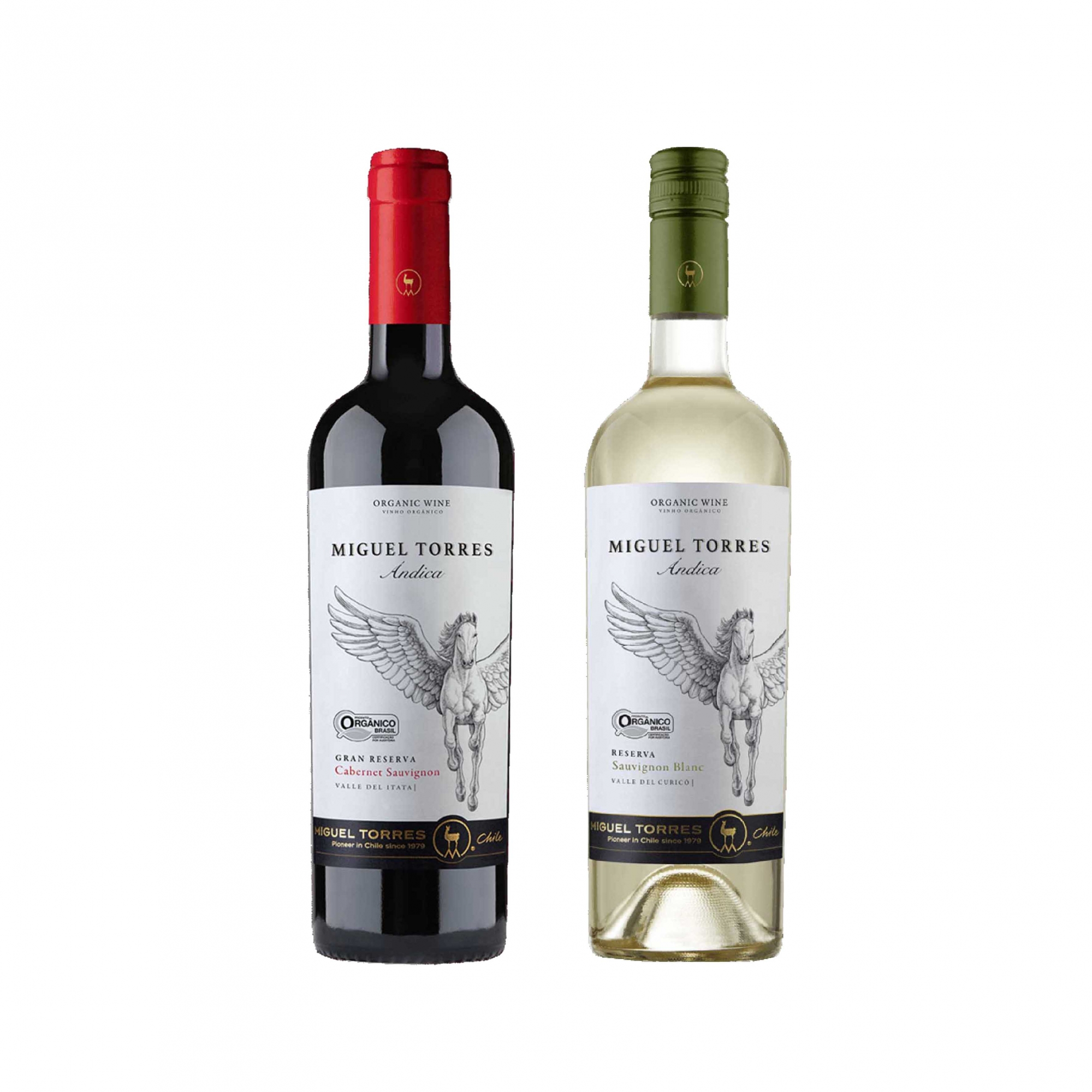 Kit 2x Vinho Tinto Chileno Orgânico Miguel Torres Cabernet Sauvignon e Sauvignon Blanc 2019