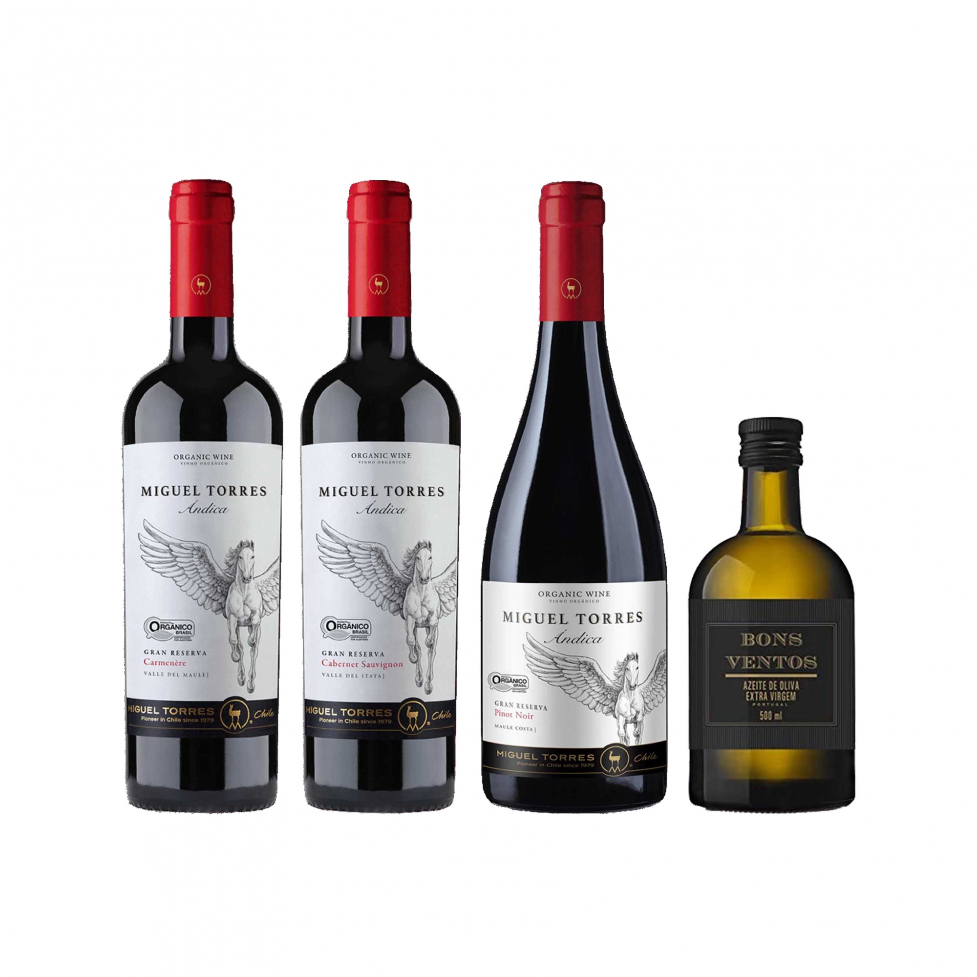 Kit 3x Vinho Tinto Chileno Orgânico Miguel Torres Cabernet Sauvignon, Carmenere e Pinot Noir + Azeite 2019
