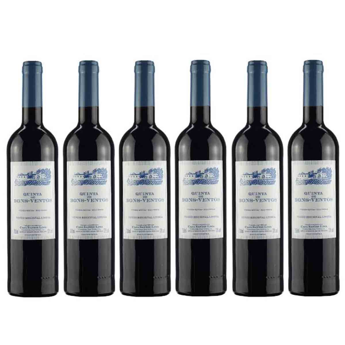 Kit 6 Vinhos Tintos Português Quinta De Bons Ventos 2019 750 ml