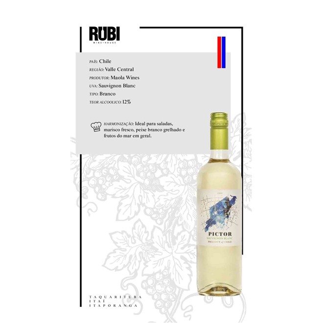 Vinho Branco Chileno Pictor Sauvignon Blanc 2016 750ml