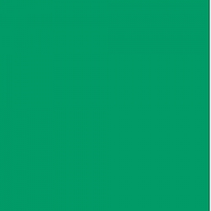Vinil Adesivo MACal 9349-52 PRO Light Green 1,23 x 1m