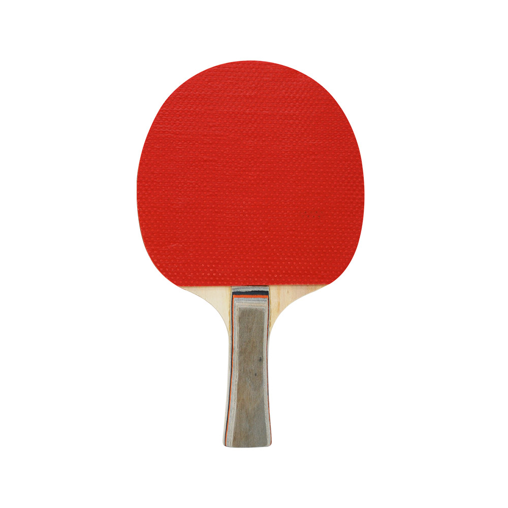 Kit Para Ping Pong Raquete + Rede + Bola -   Convoy